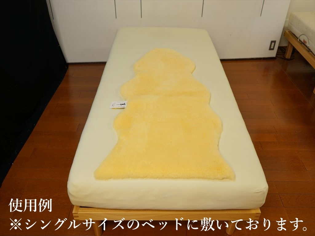 DSC00689_R_batch.JPG