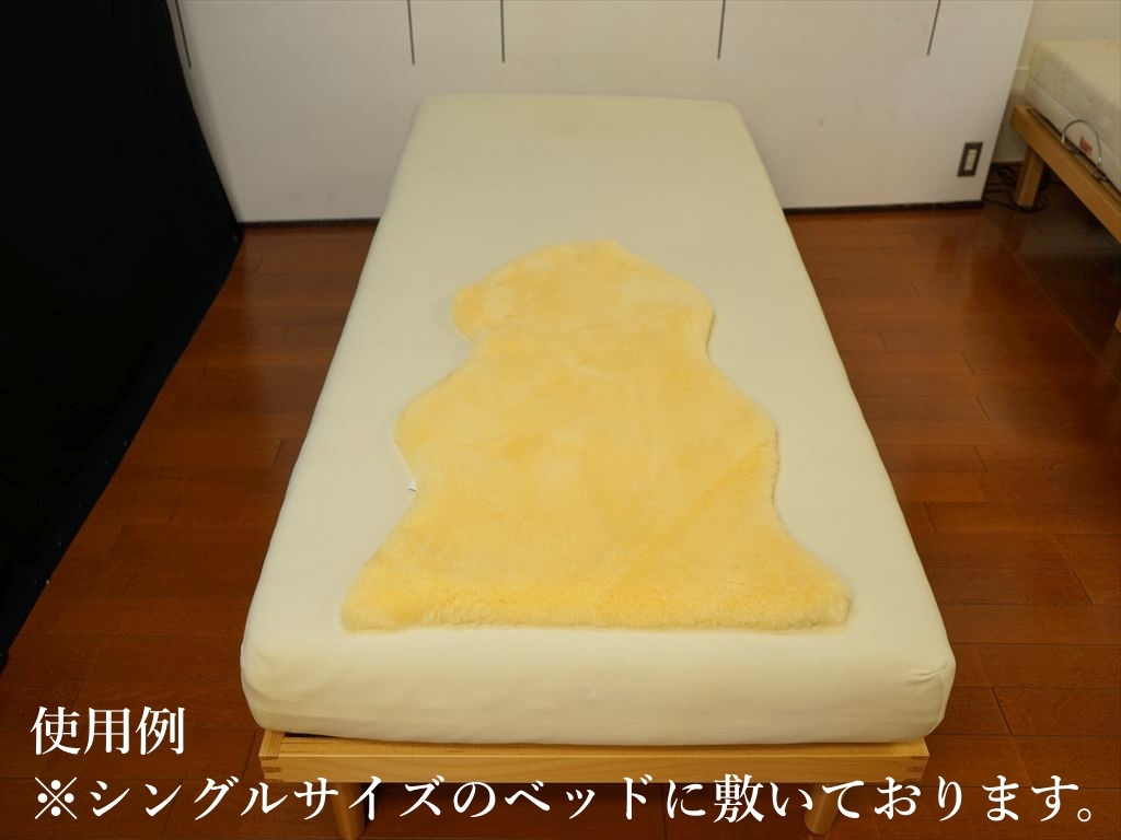 DSC00683_R_batch.JPG